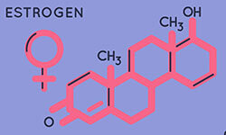 Östrogen-01